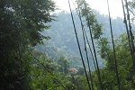 2017, Thailand Khao Sok NP