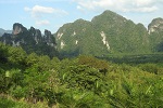 2017, Thailand Khao Sok NP