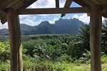 2017, Thailand Khao Sok NP