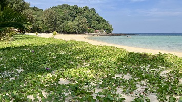 Thailand 2024