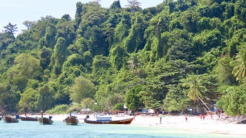 Thailand 2024