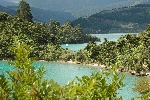 2015 New Zealand