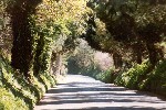 Jersey, UK (1997)