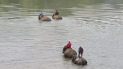 laos 2020
