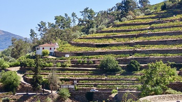 Porto 2026