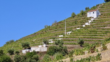Porto 2026