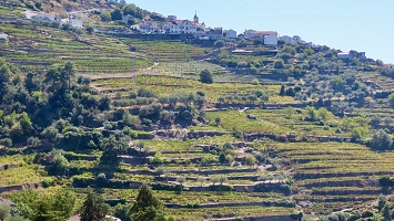 Porto 2026