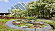 Singapore 2026