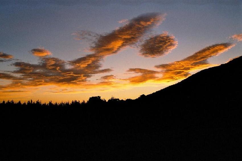 Neuseeland 2001