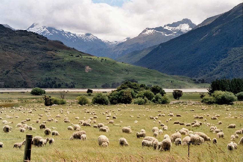 Neuseeland 2001