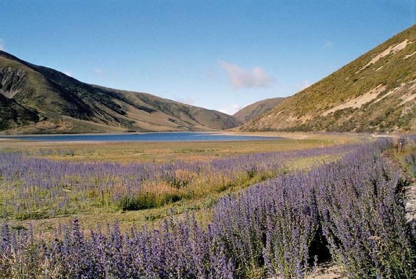 Neuseeland 2001