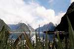 Milford Sound / New Zealand (South Island) 2002